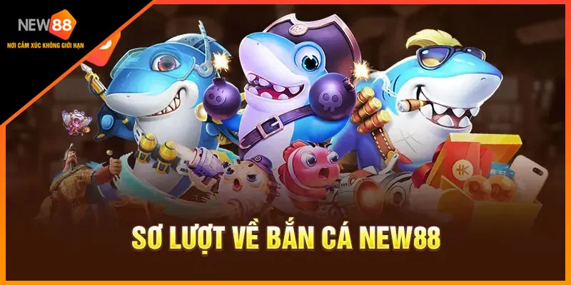 Sơ lượt thông tin về bắn cá new88