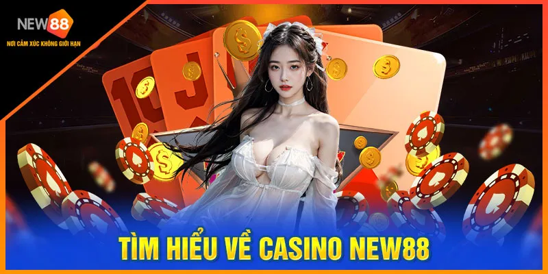 Giới thiệu về casino new88