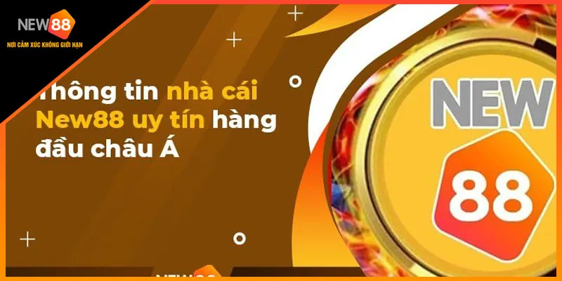 Dưới sự lãnh đạo của CEO Đại Thành Danh nhà cái New88 đã có nhiều thành tựu nổi bật