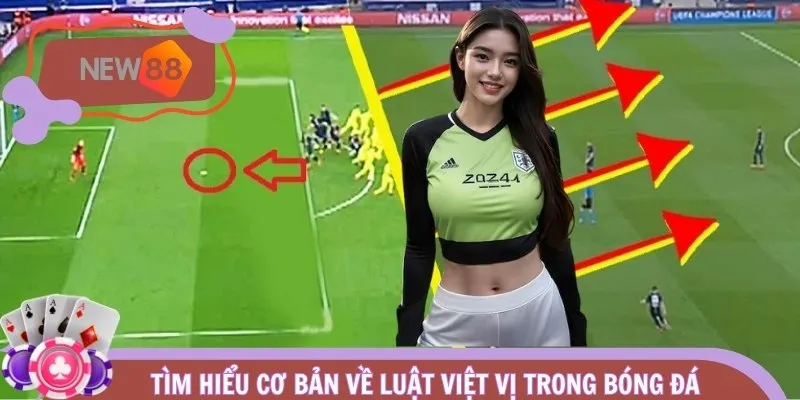 Tìm hiểu cơ bản về luật việt vị trong bóng đá