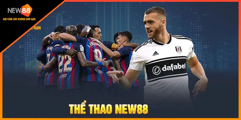 Sơ lược về thể thao new88
